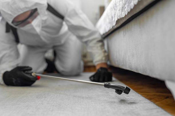 Professional Bed Bug Control technician working in Indianola, MS